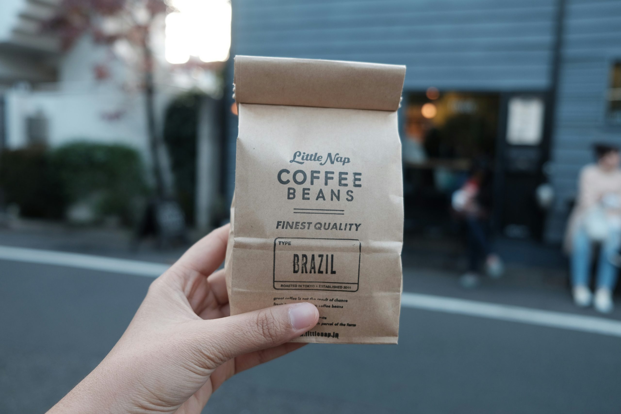 Branding, Design & Print
